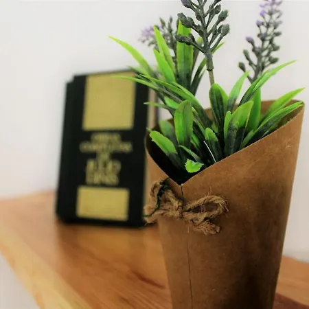 Appartamento Feelcoimbra Castelo Boutique 109 *